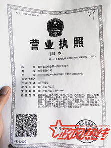 南京中山科技園產業定位失衡，招商亂象引關注